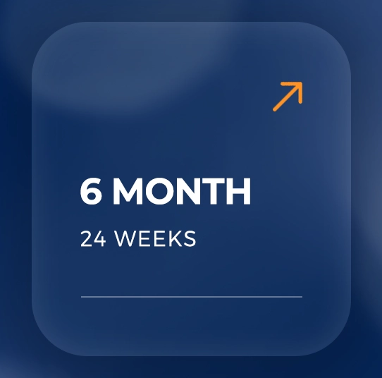 6 Months Subscription Report by 14 North